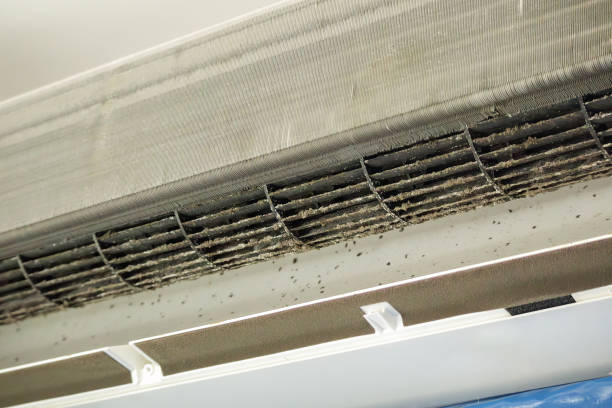 Best Emergency Air Duct Cleaning  in Moore, OK